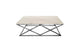 Alsea Coffee Table Silver Base - White Marble