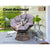 Gardeon Papasan Chair - Brown - Decorly